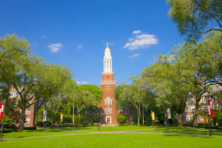 Public Colleges in New York: Complete List
